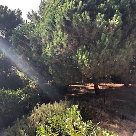 Villa Arethuse - Pyla Sur Mer Eksteriør billede