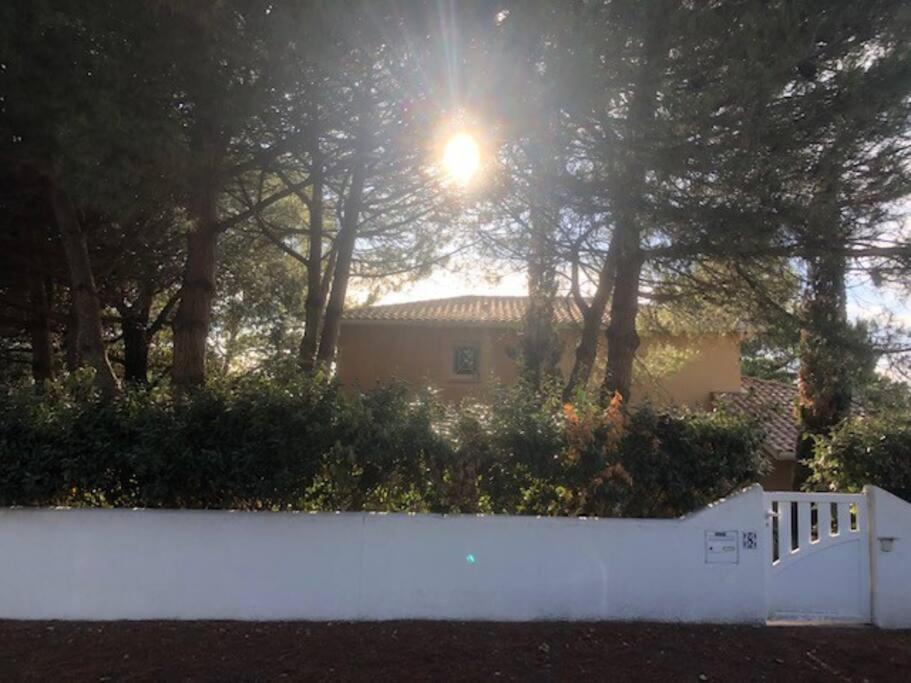 Villa Arethuse - Pyla Sur Mer Eksteriør billede